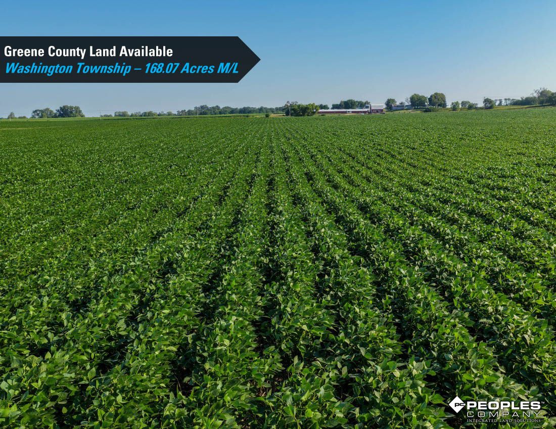 Listing Photo: Greene-County-Land-Available-168-Acres-19616 (2)